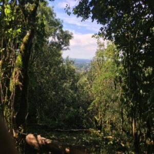 Je trouve pour toi 5 terrains à moins de 2 000€ chacun, proches de chez toi