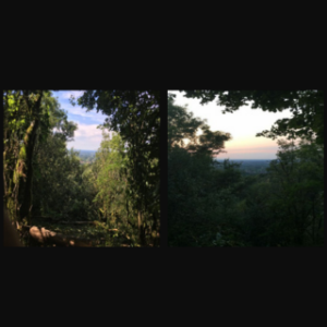 Le pack complet terrains 2000 : La masterclass en ligne + le service de recherche de terrains